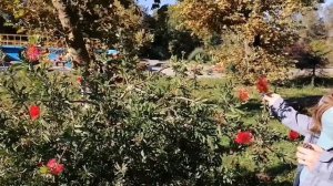 Адлер октябрь 2021