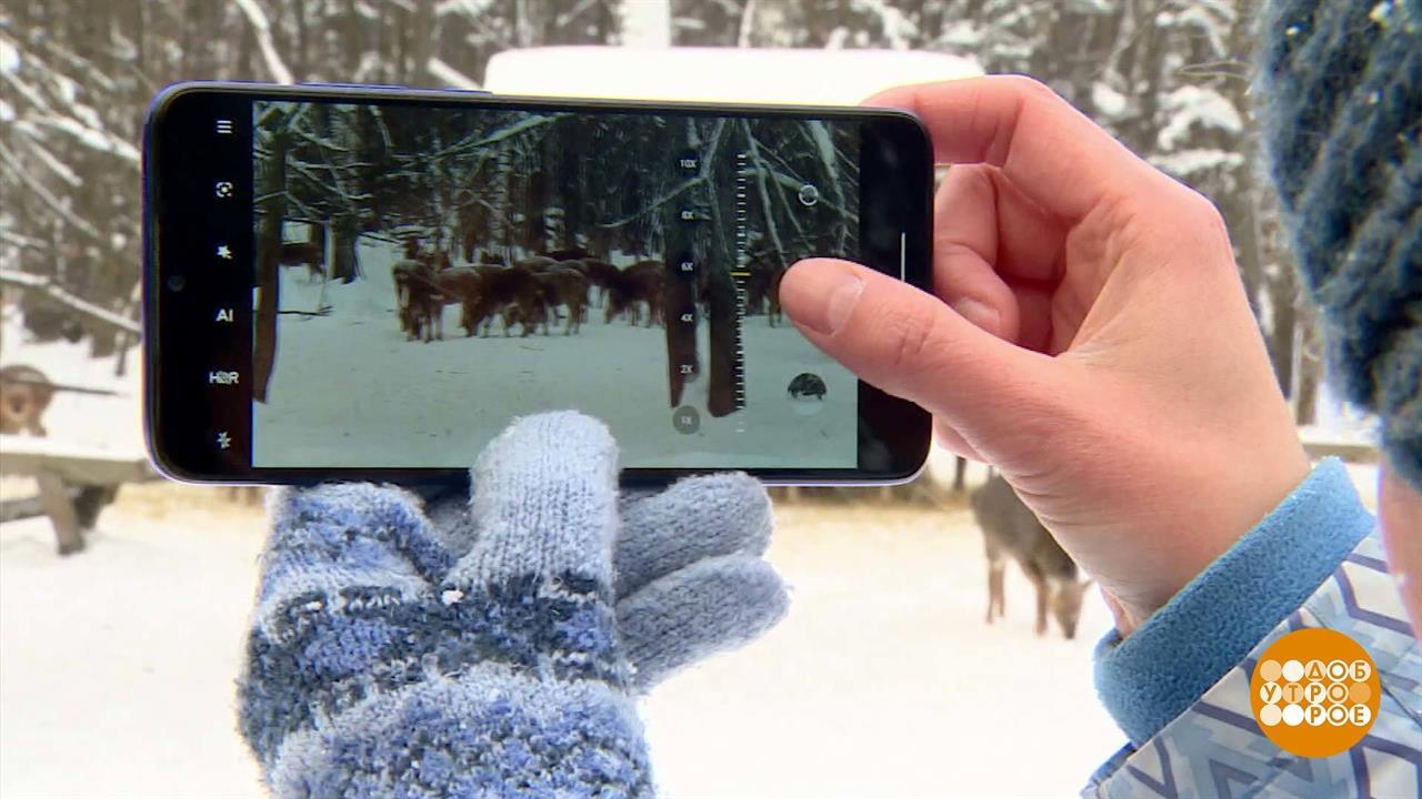 Зима. Смартфон впадает в спячку... Доброе утро. Фрагмент выпуска от 09.01.2024