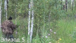 Как манить лося