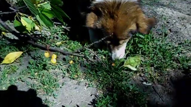 не хлебом единым смотреть онлайн