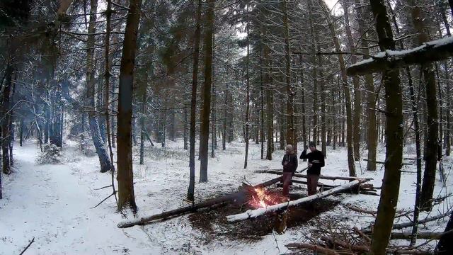 Один день в лісі / One day in firforest / Один день в лесу смотреть онлайн