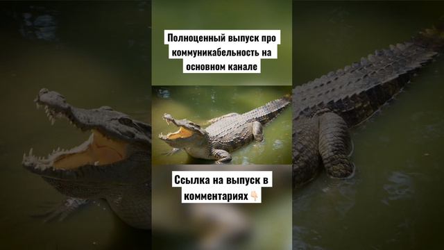 Как познакомиться с ИЛОНОМ МАСКОМ? Важность общения смотреть онлайн