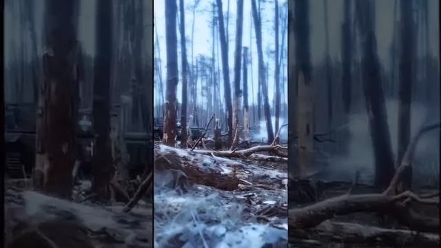 Украинский Т-64 в лесах под Кременной