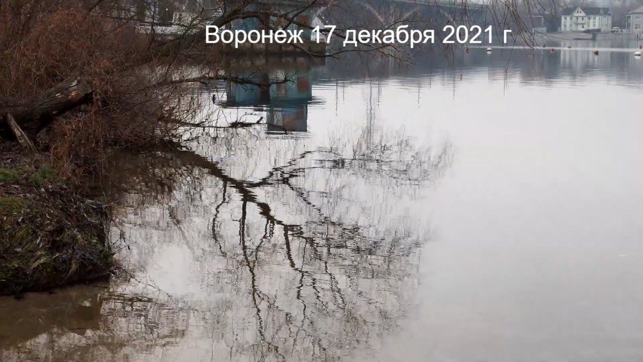 Туманный день у воды