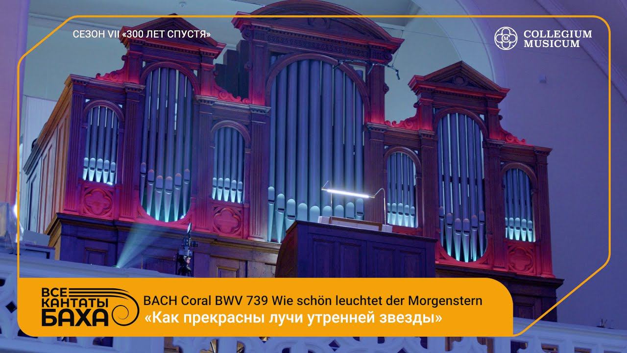 BАCH BWV 739 Coral смотреть онлайн