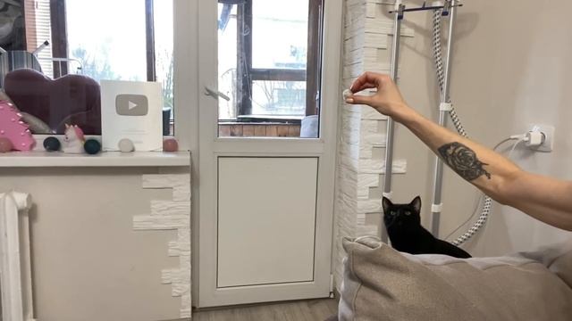 ВЛОГ Кира встречается с мальчиком?/ Почему кот так делает / Обычный день нашей семьи. смотреть онлайн