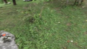 Обзор домика - вагончика. Абхазия, Верхняя Мцара