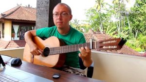 В мире животных (Странники) - Музыка на гитаре - Александр Фефелов (кавер на гитаре)