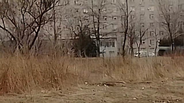 Кривой Рог Скорая Помощь смотреть онлайн