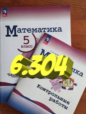 математика 5 класс номер 6.304