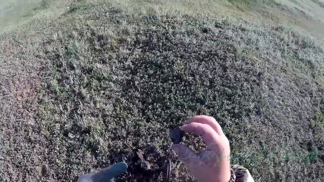 Коп у озера металлоискатель Minelab X-Terra 705 смотреть онлайн