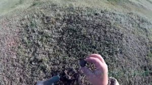 Коп у озера металлоискатель Minelab X-Terra 705