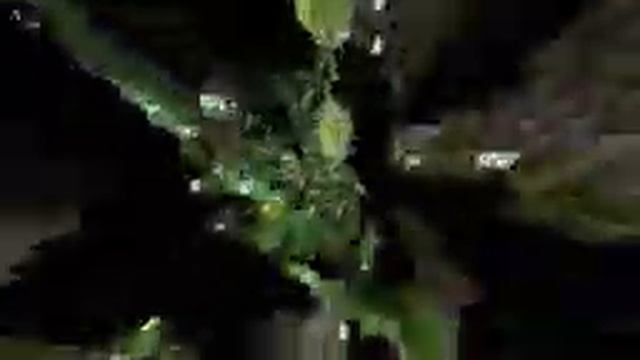 Terra Swoop Force - Бесплатные карты из рынка Майнкрафта #1 - (Запись стрима) смотреть онлайн