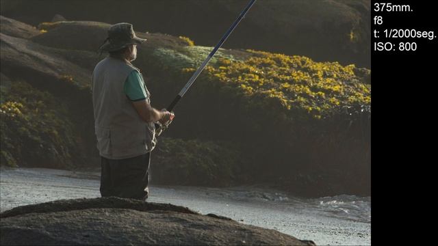 Cámara Nikon D7100 y zoom Vivitar 100 400mm Serie fotográfica de un pescador Curso de fotografía 99 смотреть онлайн