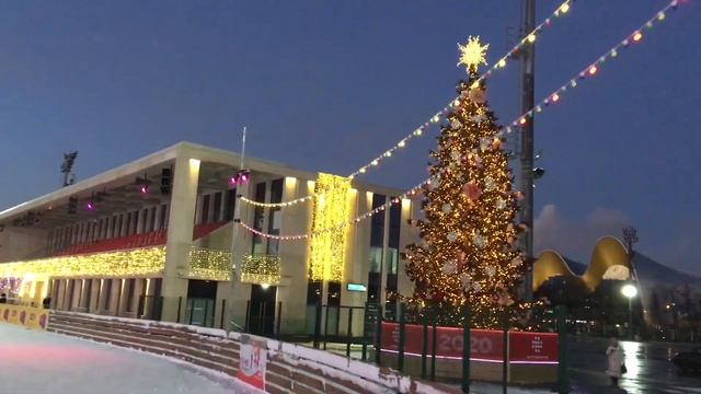 Каток «южный полюс» в Лужниках 2020