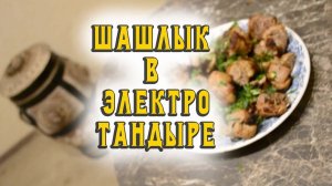 Шашлыки в электрическом тандыре Лев