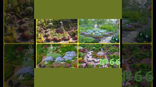 #конкурс #дача #многолетниецветы   Решила поучаствовать в конкурсе, а вдруг повезёт ????