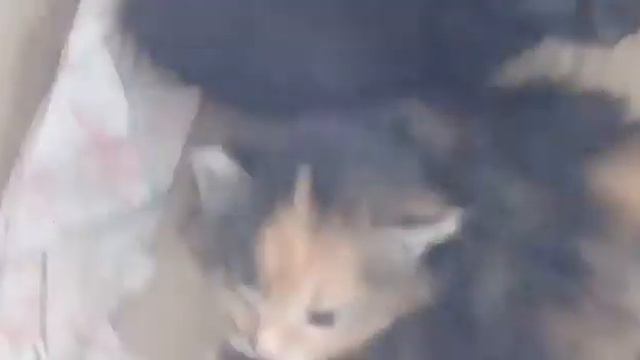 Собираюсь к подруге.На День Рождение смотреть онлайн