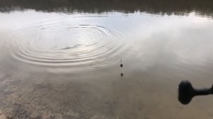 ФИДЕР НА ОКЕ В НОЯБРЕ / ЛОВЛЯ КРУПНОГО ЛЕЩА