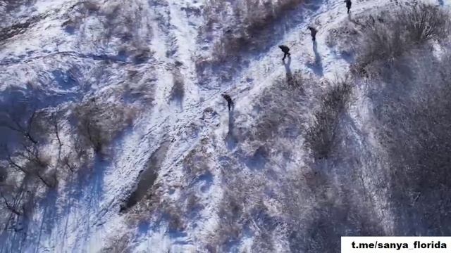 Пленение ВСУ