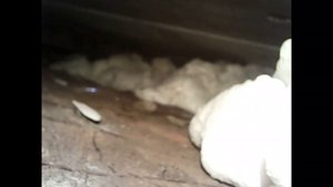 Заполнение подпольного пространства ППУ