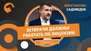 Константин Садоведов