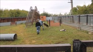 Моя профессия Кинолог #равноправие_детей