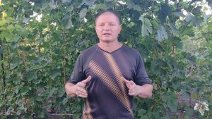 План работ на винограднике в Сентябре. Сезон 2020