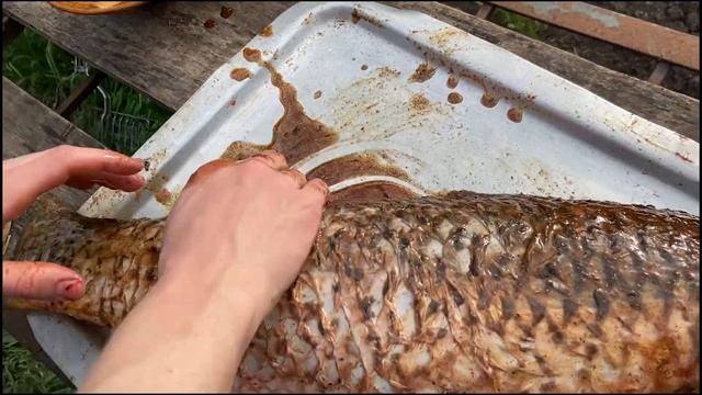 Приготовил Вкусного Сазана На Мангале!
