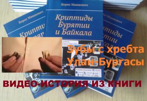 Зубы "снежного человека" с хребта Улан-Бургасы