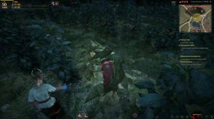 Black Desert испуганные кошки