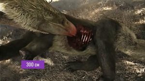 Фороракосовые - Кайнозойские Динозавры. Титанис, Келенкен, Фороракос.