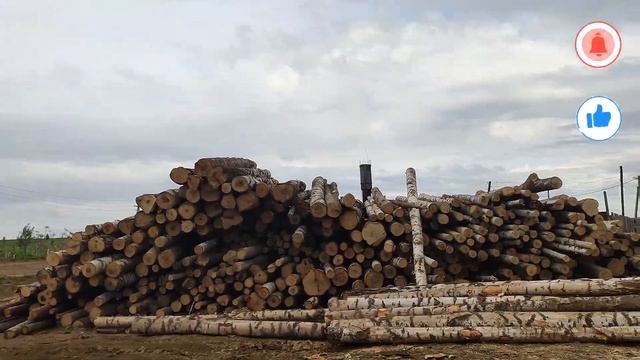ОПИЛ и его ПРИМЕНЕНИЕ в ХОЗЯЙСТВЕ, ЖИВУ на СЕЛЕ эпизод 2