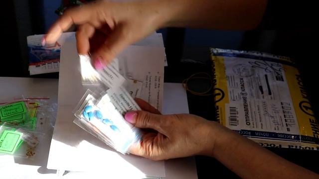 Где я беру семена для посадки смотреть онлайн