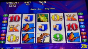 ??$11.25 APUESTAS ?3 BONOS? BRAZIL SLOT MACHINE OCEAN CASINO ATLANTIC CITY #BRAZIL #SLOTMACHINE