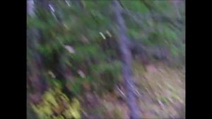 За Кряквой ( На природе в Коми!)