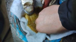 Промывка печки салона LEXUS RX