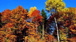 Лэгэнтэй - Таптал хатыҥа (Караоке)