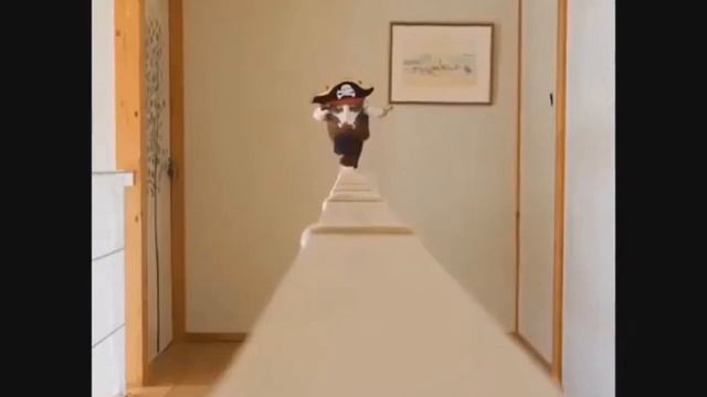 Приколы с котами смотреть онлайн