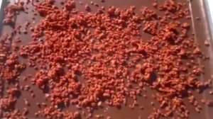 Сушеные ягоды годжи в домашних условиях