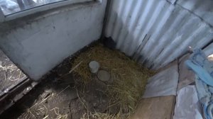 ЧЕ КУПИЛЬ ?ЛОХАНУЛАСЬ С ПОКУПКАМИ? WE LIVE IN THE KUBAN ????