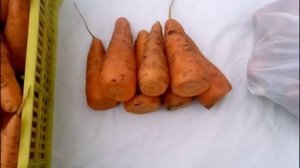 как сохранить морковь зимой