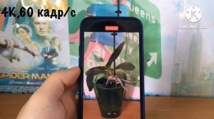 Сравнение камер iPhone 7 и iPhone 12: Как изменились возможности фотографии за года?