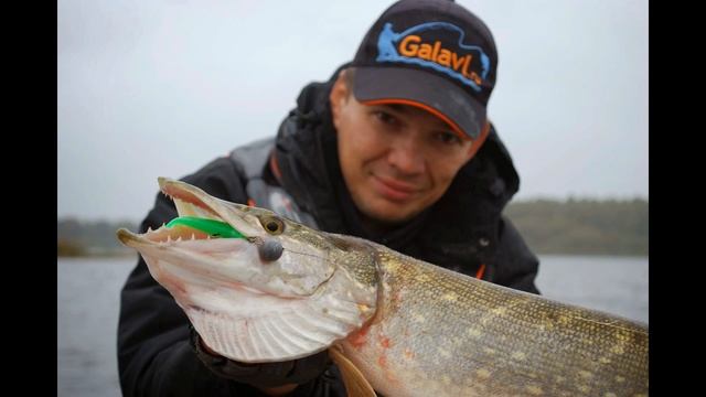 Лучшие мягкие приманки для ловли хищника джигом на Рыбинском водохранилище