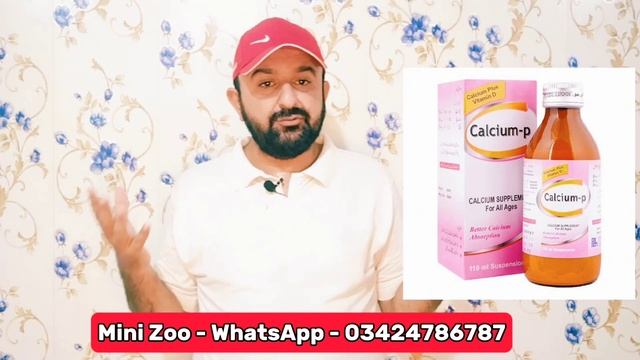 Best Calcium For All Birds | Best Source of Calcium For Love Birds & Java Sparrow | Mini Zoo смотреть онлайн
