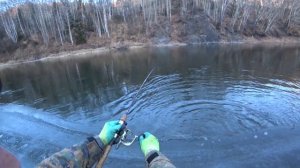 Арктический голец! Рыбалка на Сахалине! Река кормилица!