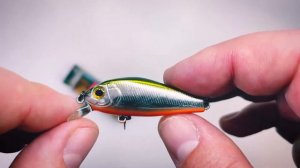 Обзор Воблера Zipbaits Rigge 43 по заказу Fmagazin