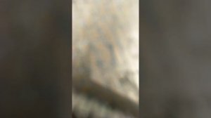 Покров Днепропетровская область. Центр города возле аптеки✓144