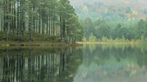 Стихотворение Роберта Бёрнса: В горах мое сердце