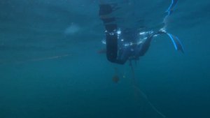 Самая глубокая подводная охота в Черном море